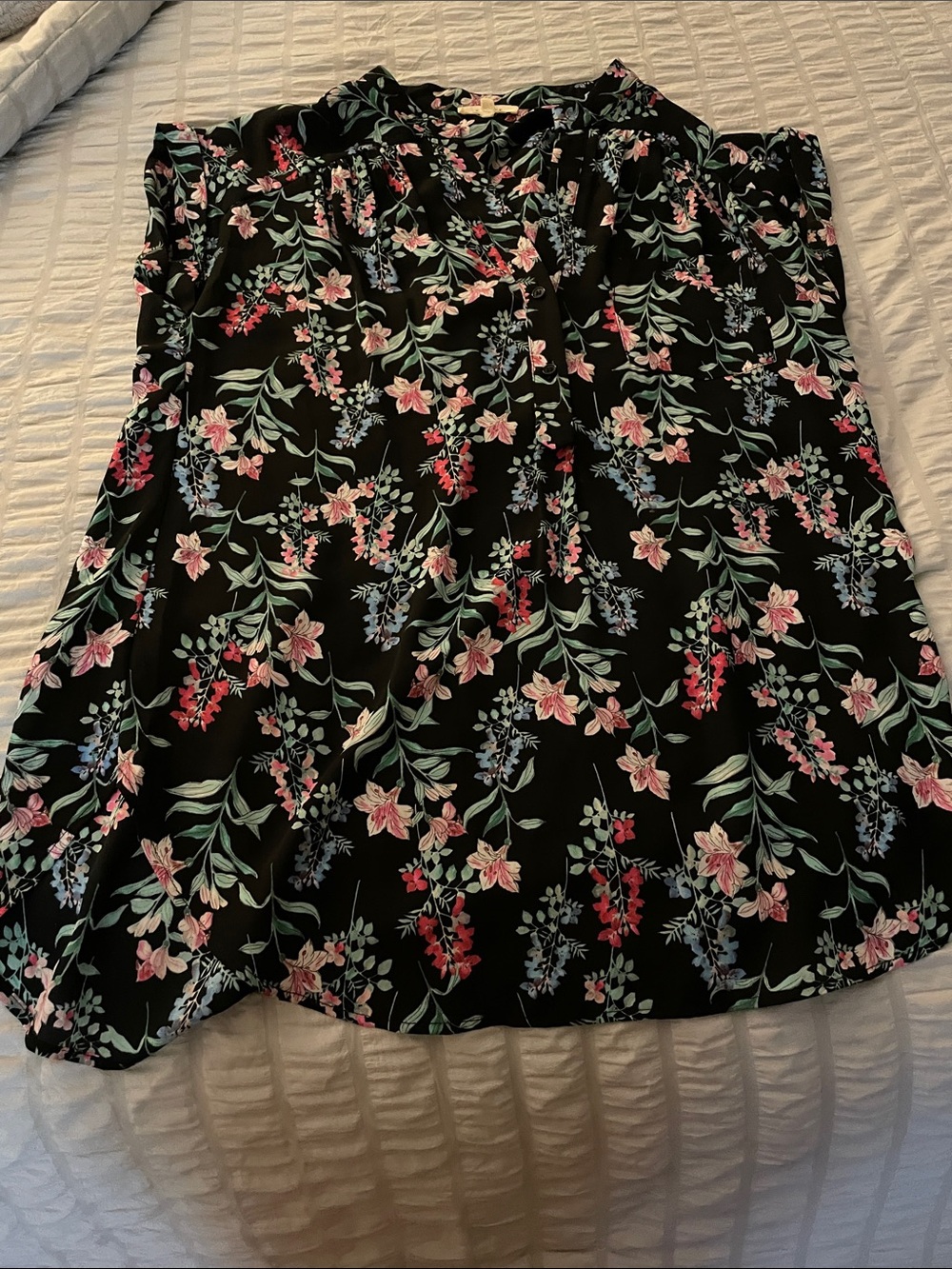Pleione Black A-Line Skirt with Pink and Blue Floral Print